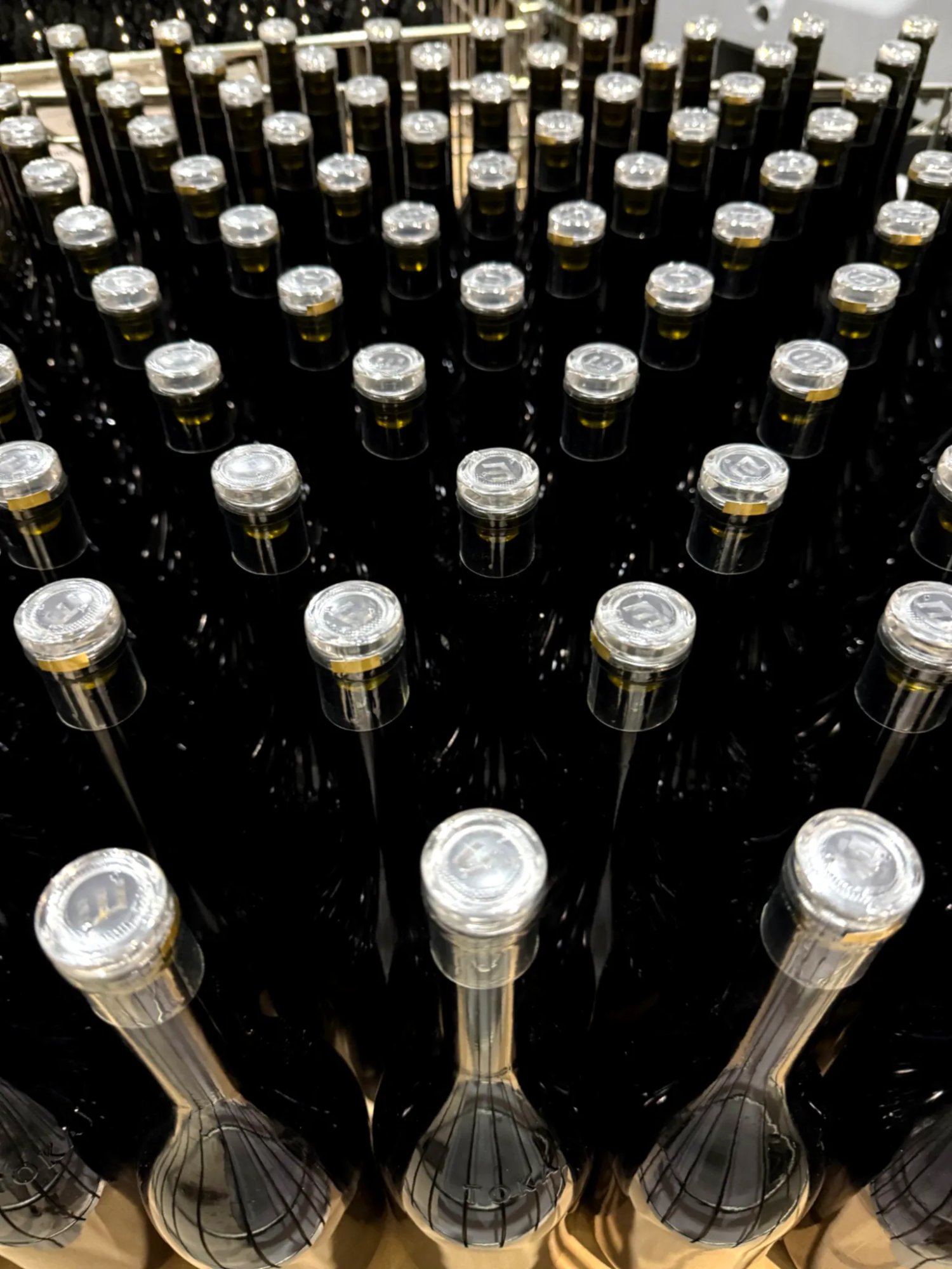 MADaniel palackok felülnézetben